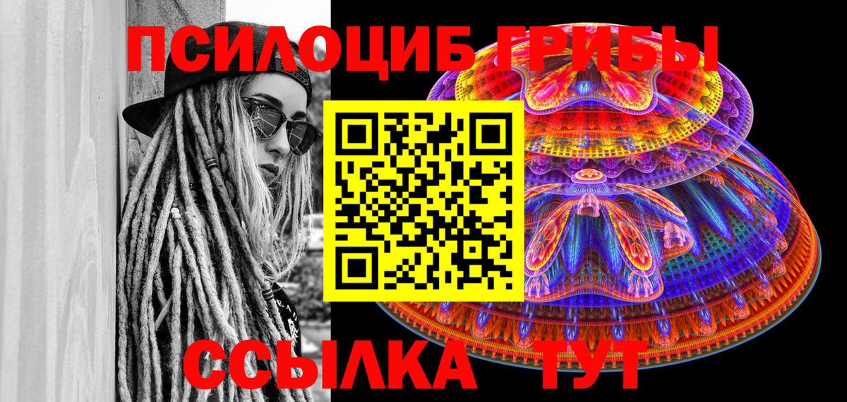 Псилоцибиновые грибы Magic Shrooms Сокол